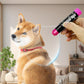 6Pcs Disposable Washable Pet Fur Dye Stick