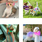 6Pcs Disposable Washable Pet Fur Dye Stick